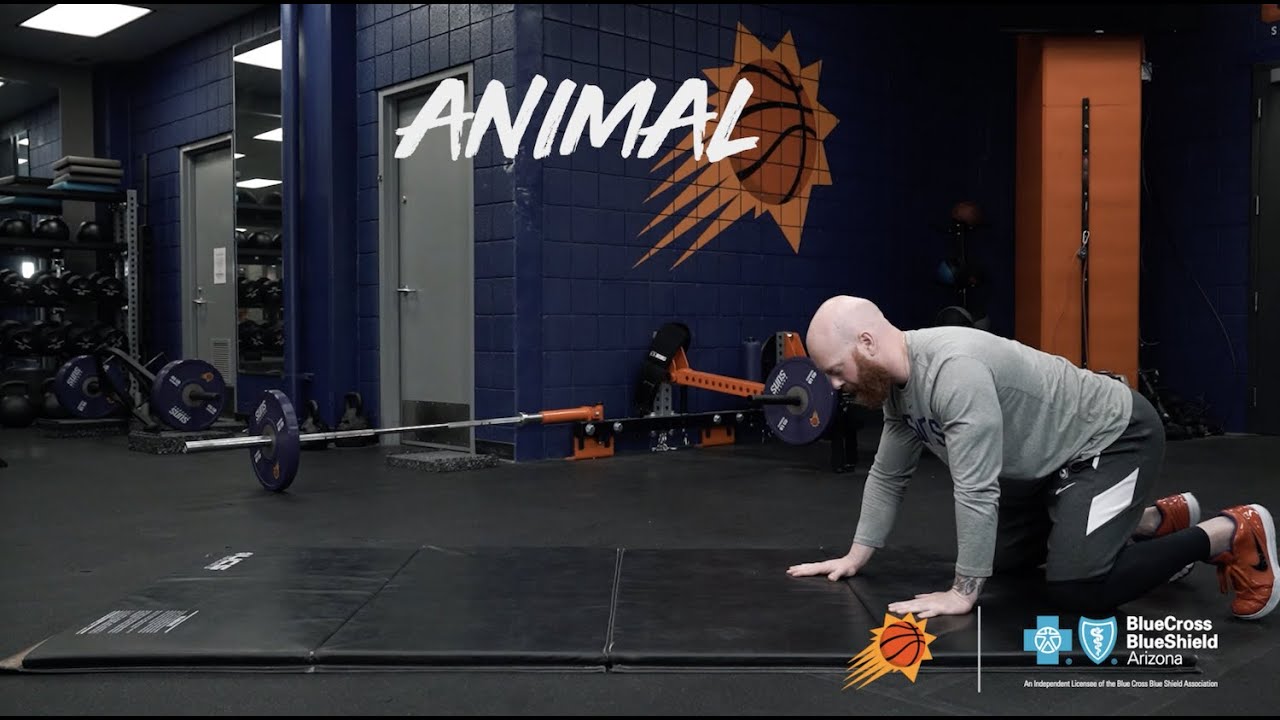 Summer Workouts with Cory Schlesinger - Animal Series