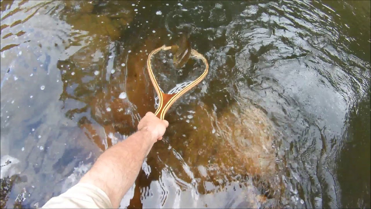Fly fishing Black Forest 2018