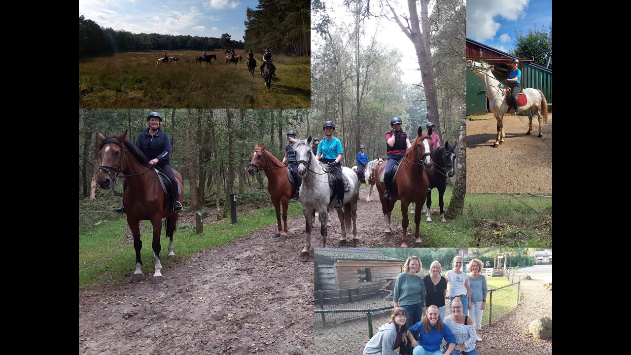 Weekend Eerbeek, ponykamp 2021 stal te Bokkel | Wieteke Huiberts
