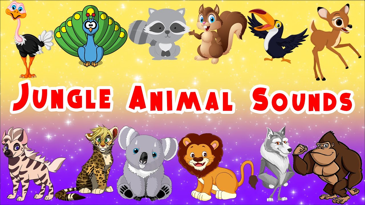 Jungle Animal Sounds EP2T1 | Toddler Educational Videos | LittleKidsTV
