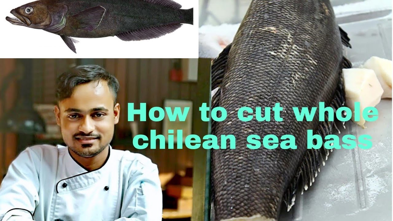 Chef sanjubarai /how to cut whole chilean sea bass. #🐟#🐠#🐙