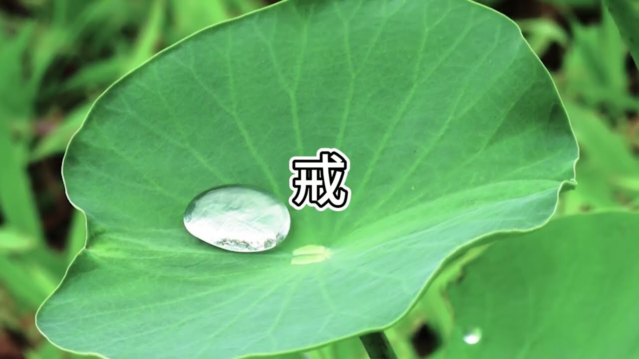 【字幕】 掉舉很嚴重，該怎麼辦？ | 阿贊耀答問 2025-11-15 （廣東話）