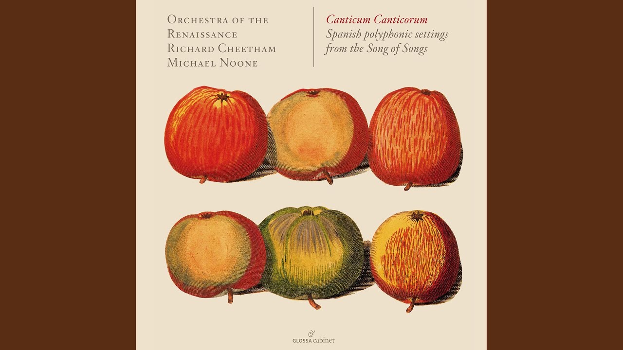Missa Vulnerasti cor meum (Arr. for Choir & Chamber Ensemble) : V. Agnus Dei