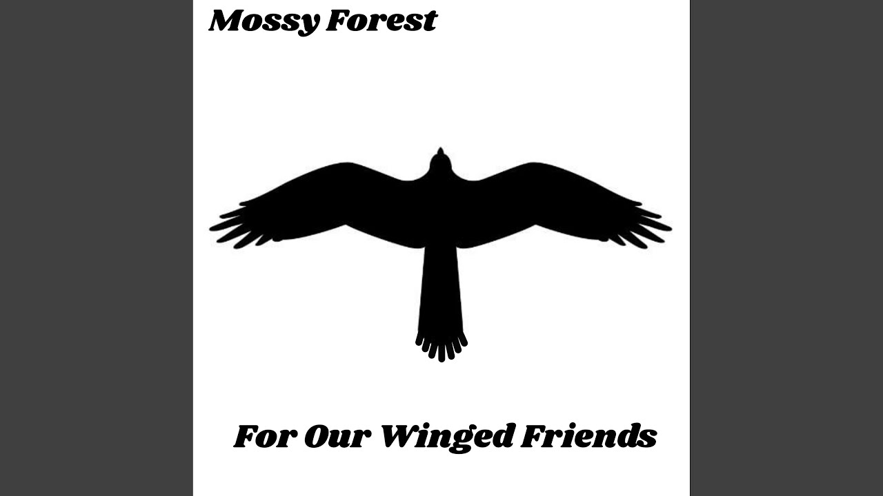 For Our Winged Friends