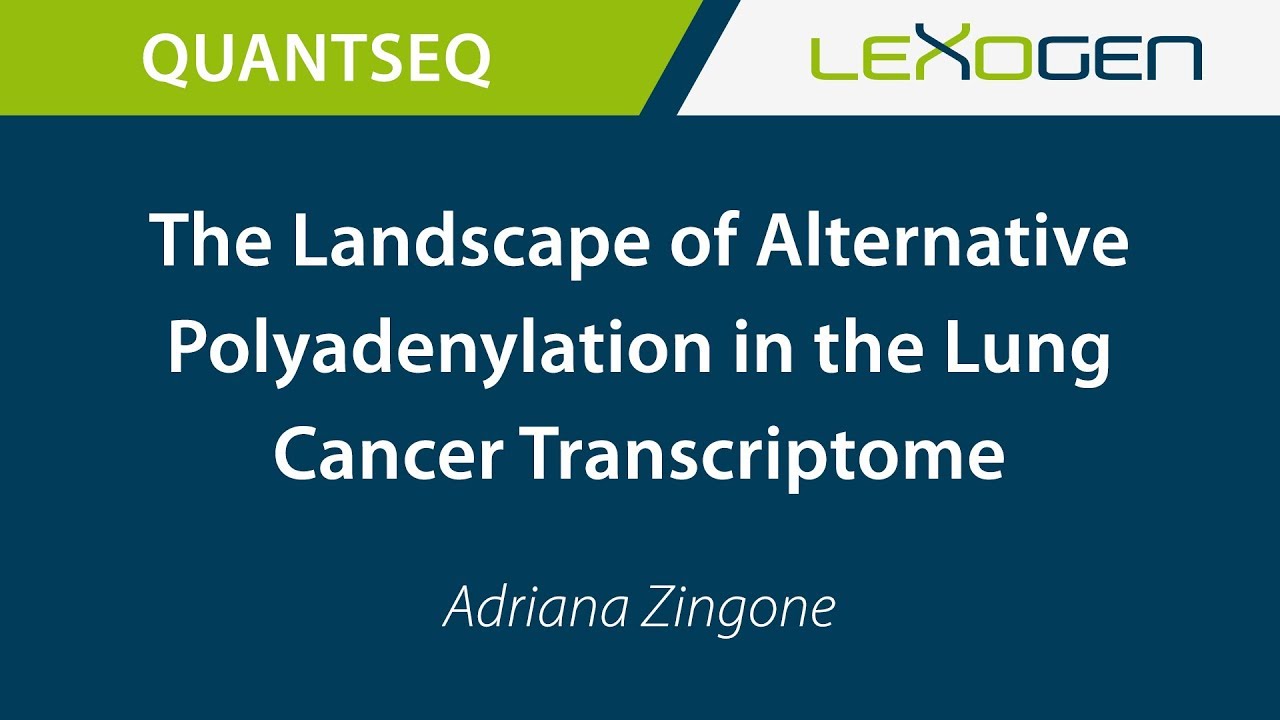 USER TALK: The Landscape of Alternative Polyadenylation in the Lung Cancer Transcriptome