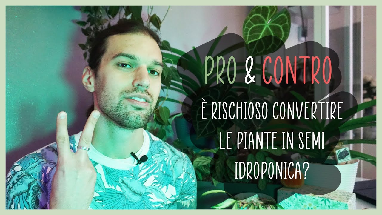 🪴PRO & CONTRO sulla coltivazione in semi idroponica💧