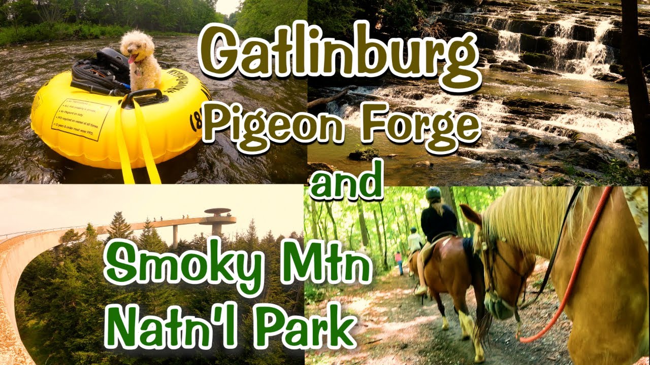 Gatlinburg - Pigeon Forge - Smoky Mtn Nat'l Park - Nature Trails, Tubing, Rafting & Zoo