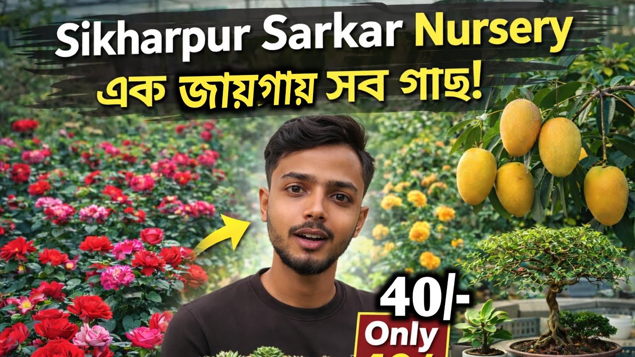✅ এক জায়গায় সব গাছ! 🌱 Sikharpur Sarkar Nursery Tour | মাত্র ৪০ টাকা থেকে!