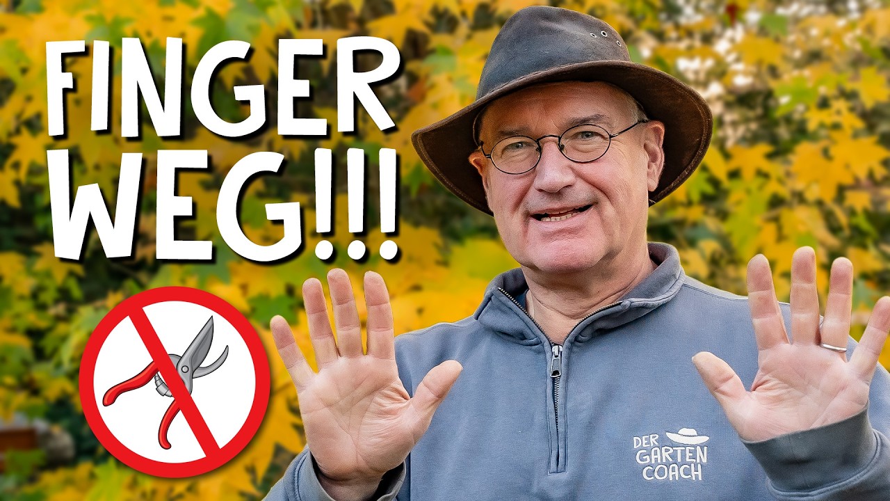 Diese Pflanzen darfst du im Herbst NICHT schneiden!