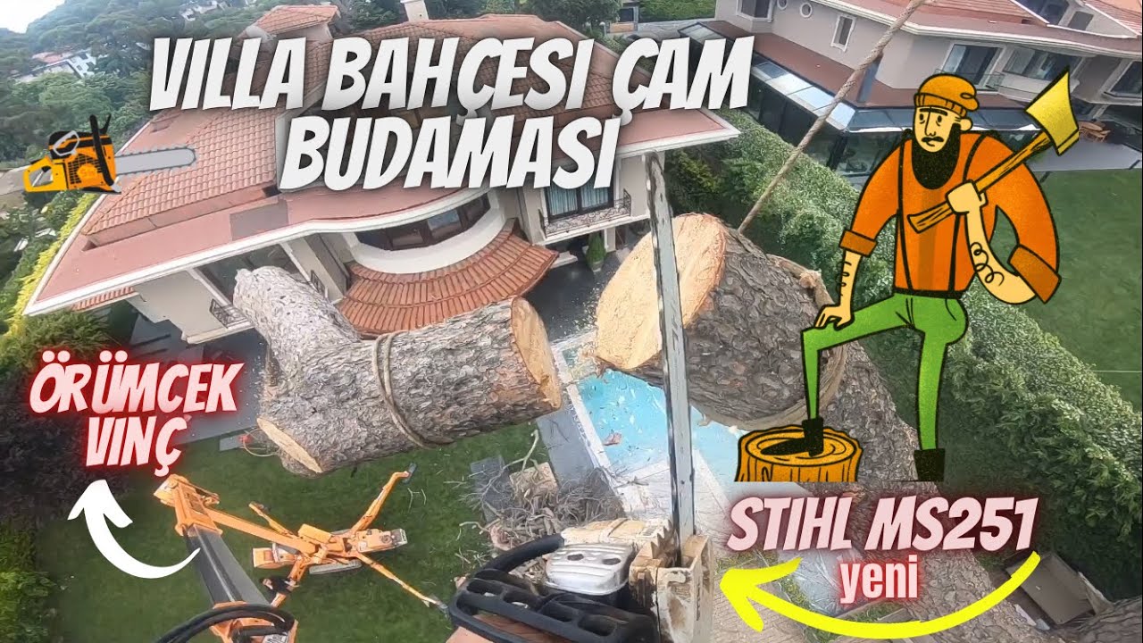 Villa bahçesi havuz yanı örümcek vinç ile kuru çam dalı budaması