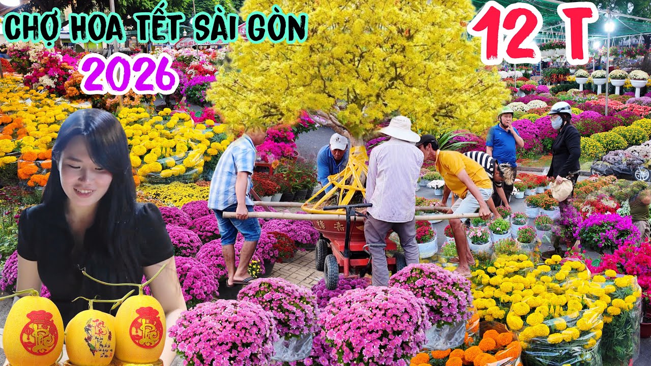 Xôn Xao Mai Tỉ Chợ Hoa Tết Sài Gòn 2026 ùn ùn đổ xô đi mua giá quá rẻ 20k,30k