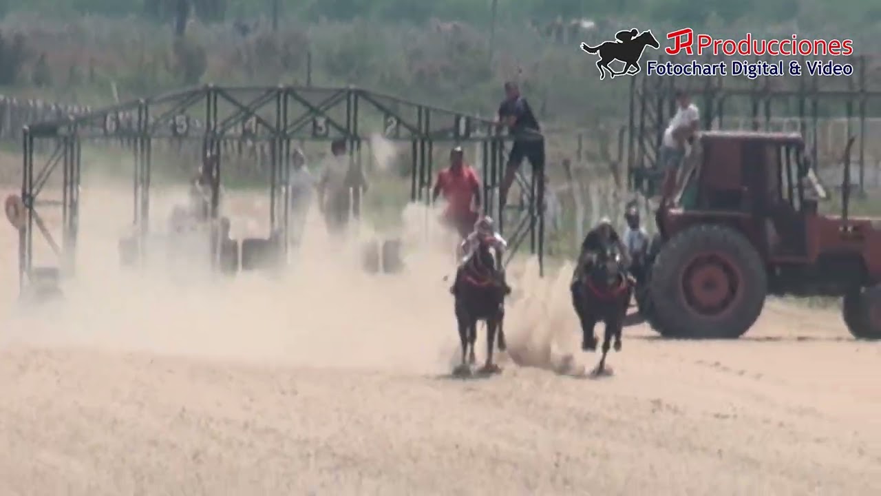4ta.Carrera 15-03-2026 Video Ganador SAFADA ZOOM-Hipodromo 