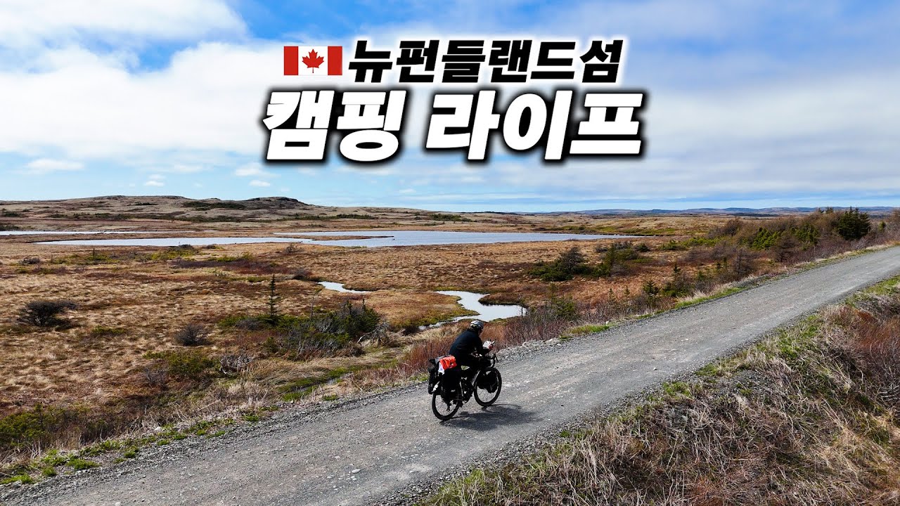 🇨🇦 뉴펀들랜드섬 캠핑 중 만나는 친절한 캐나다 사람들 【캐나다 자전거 횡단 2】
