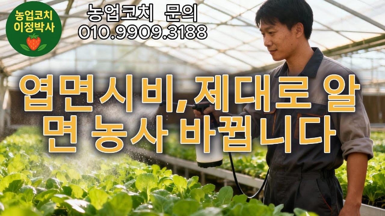 엽면시비가 작물 품질을 결정합니다 — 농가 필수
