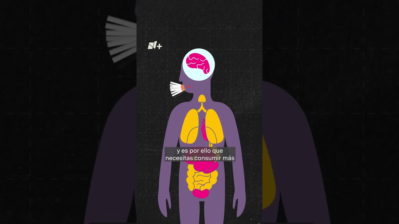 Tabaco: &iquest;Qu&eacute; causa en nuestro cuerpo? - N+