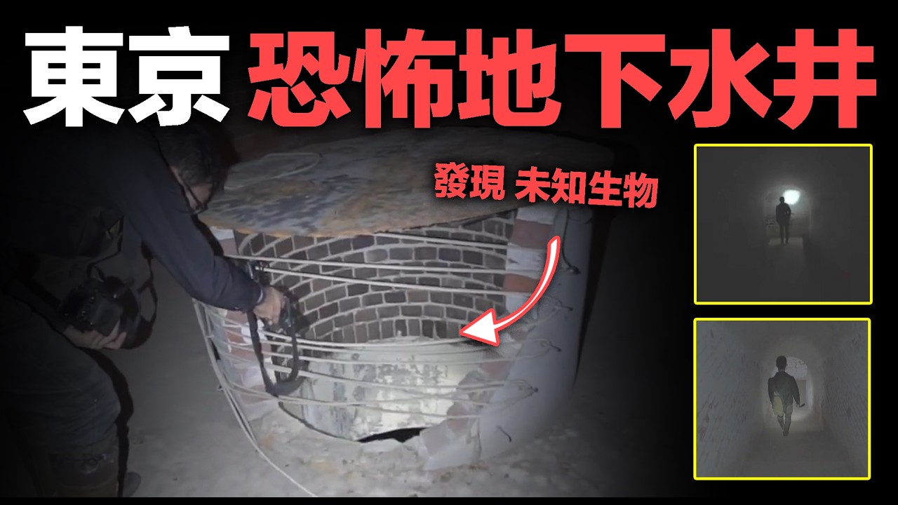 「地下の井戸」日本網友發文，聲稱自己在東京地下發現了未知生物...【长篇怪谈——2Channel】