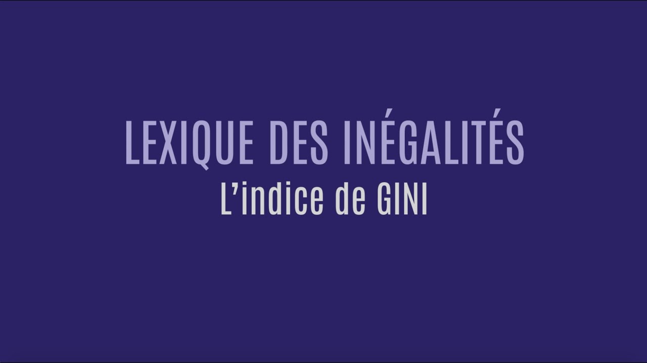 Lexique des inégalités : l'indice de Gini