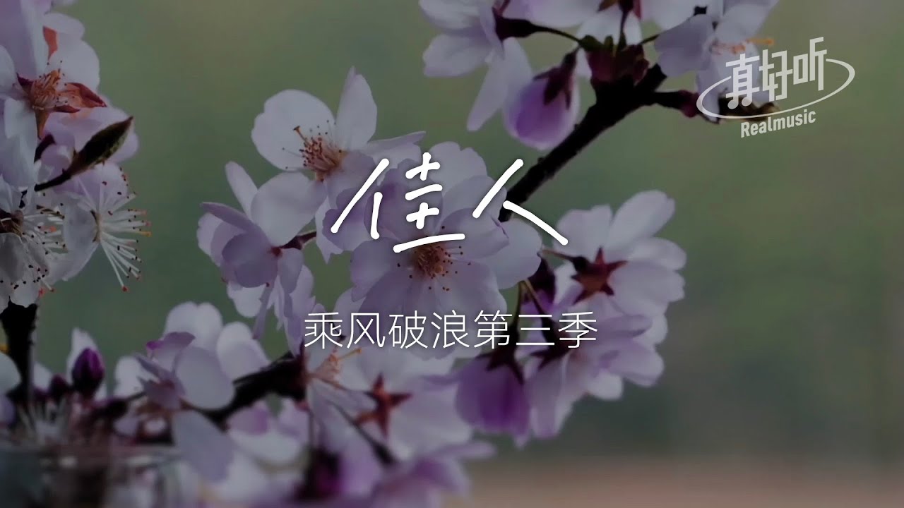 佳人 - 乘風破浪第三季（純享版）「都是鏡花水月喲 幾夜飲血誰解愁」【完整版】動態歌詞LyricsVideo 治癒向 無損音質（于文文/張薔/趙夢/劉戀/唐詩逸）
