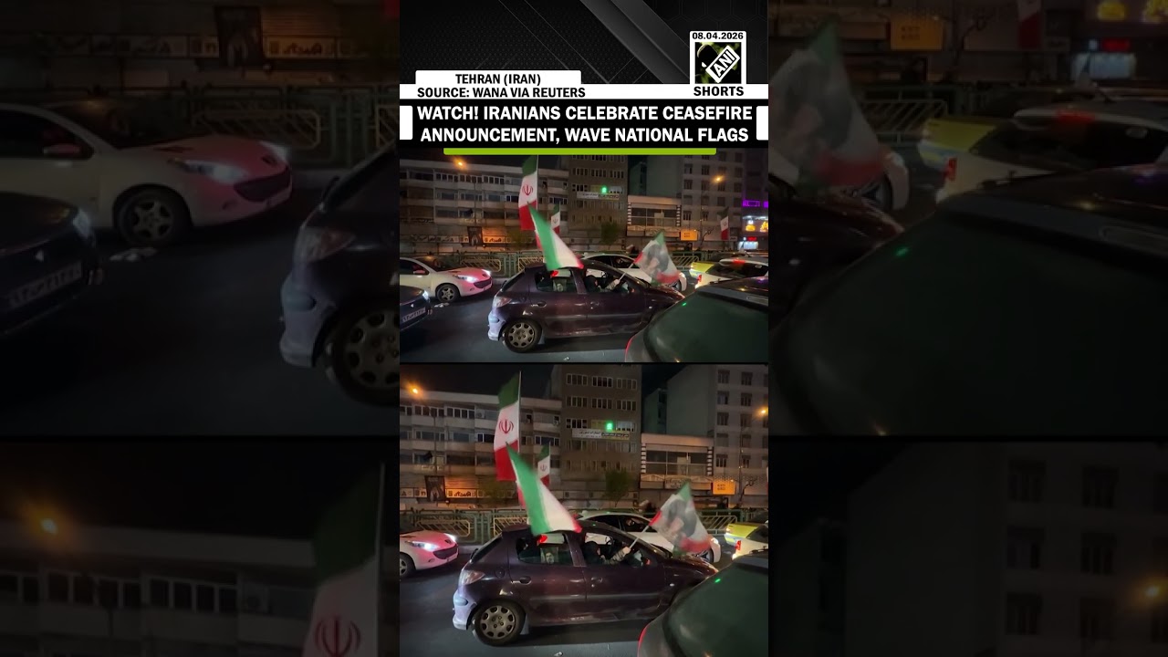 WATCH! Iranians wave national flags after ceasefire announcement