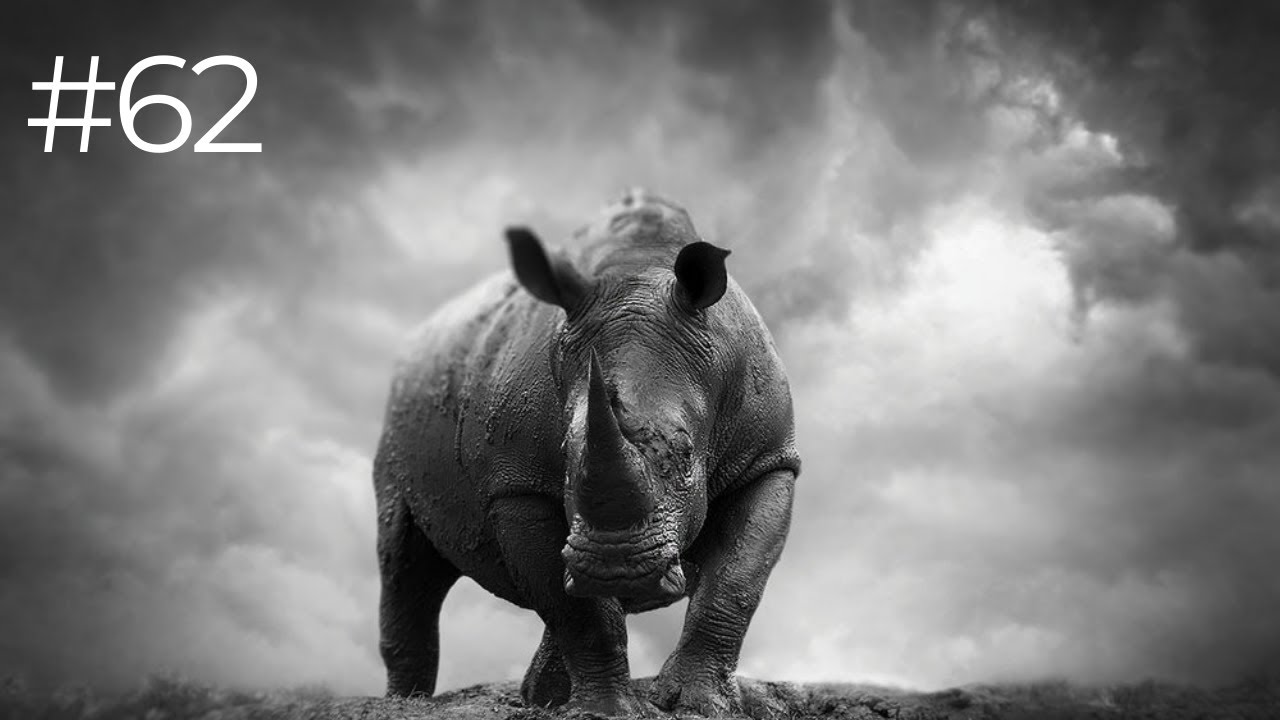 Bj&ouml;rn Persson | How 'Beauty Will Save The World' - Swedish Wildlife Photographer & Anti-Poacher