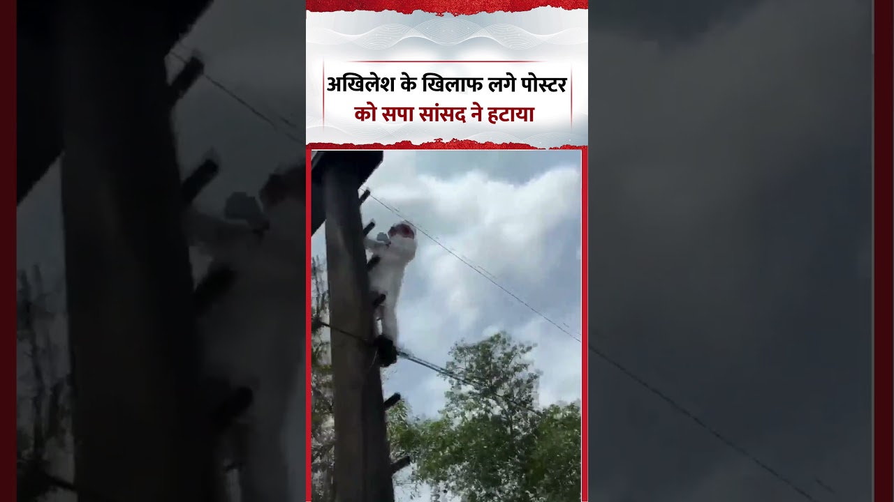#ViralVideo | समाजवादी पार्टी के सांसद आनंद भदौरिया ने अखिलेश यादव पर निशाना साधने वाले पोस्टर हटाये