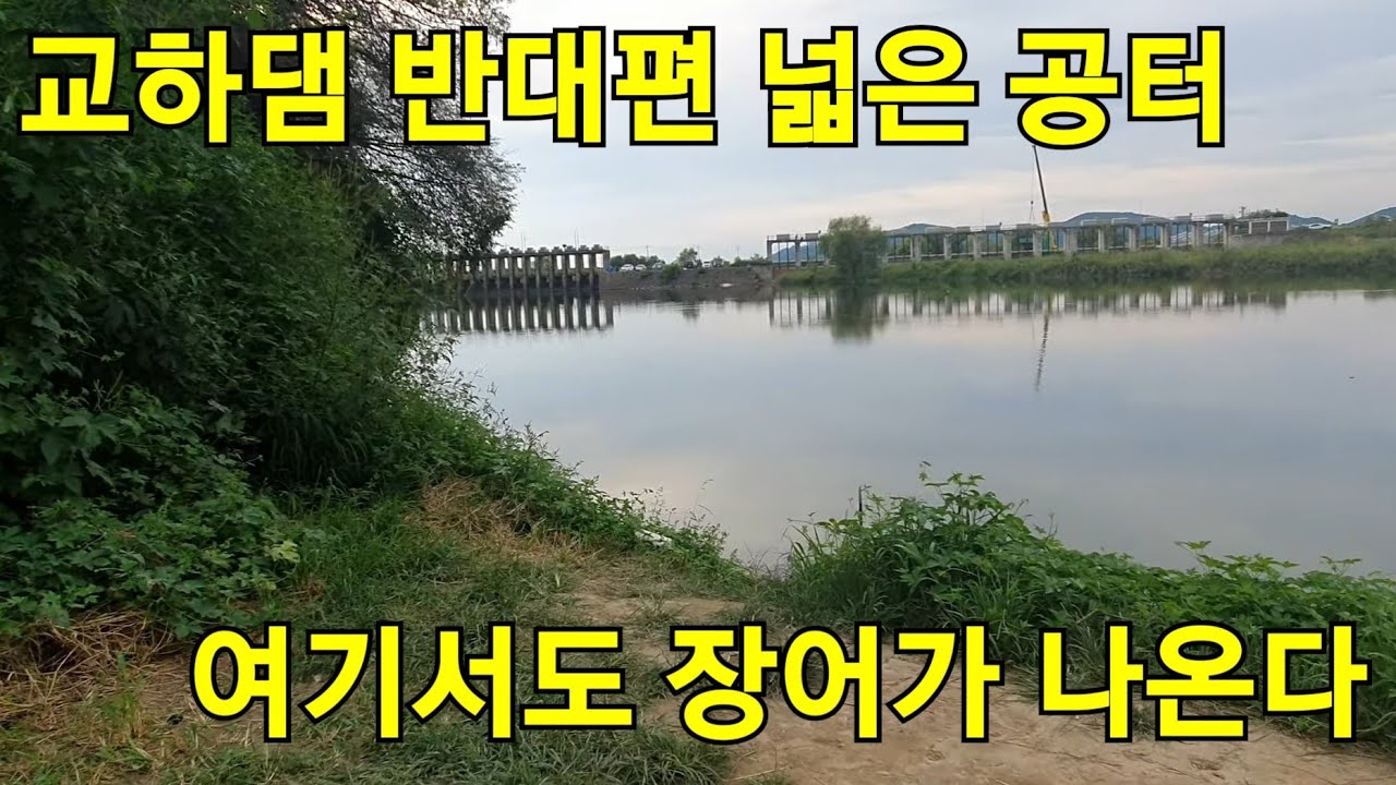 파주 교하댐 장어터 반대편 넓은 공터