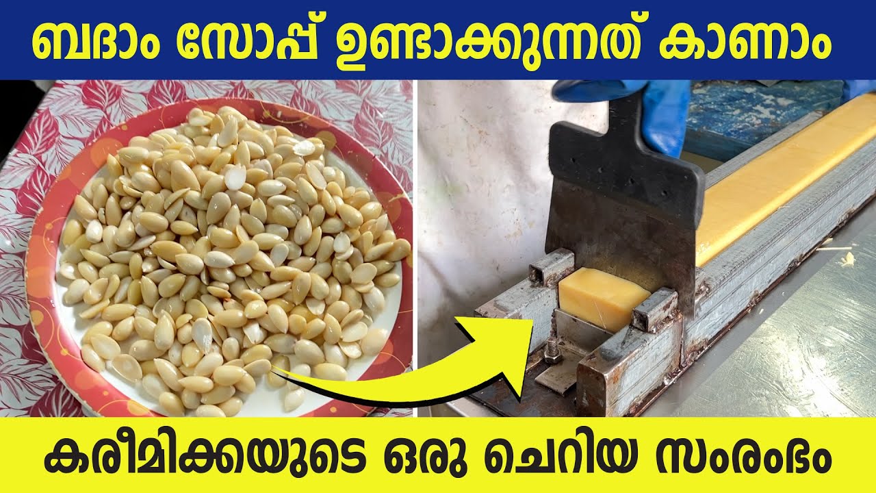 ബദാം കൊണ്ട് സോപ്പ് ഉണ്ടാക്കുന്നത് കാണാം | കരീമിക്കയുടെ ഒരു ചെറിയ സംരംഭം | Badam Soap making video