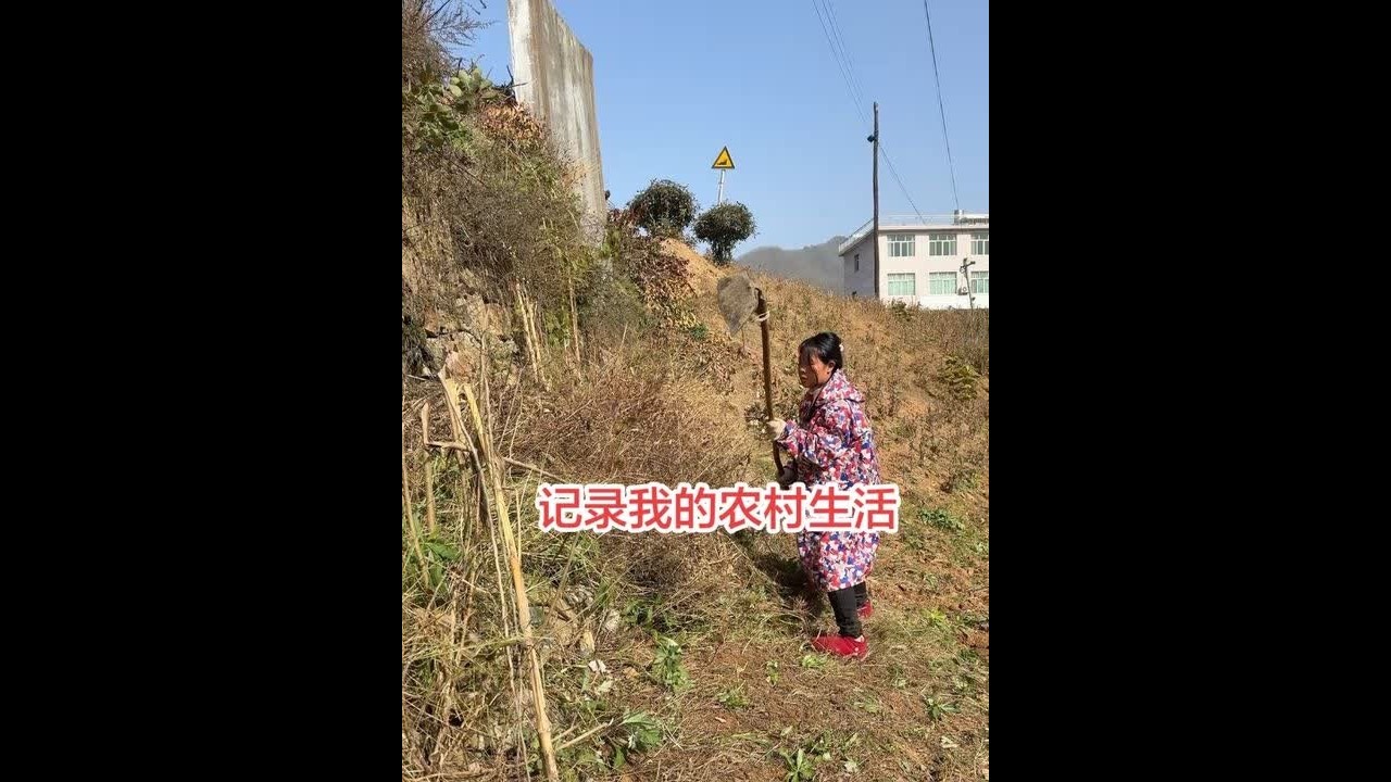 #抖音短剧剧有引力计划 #我的乡村生活 #乡村生活