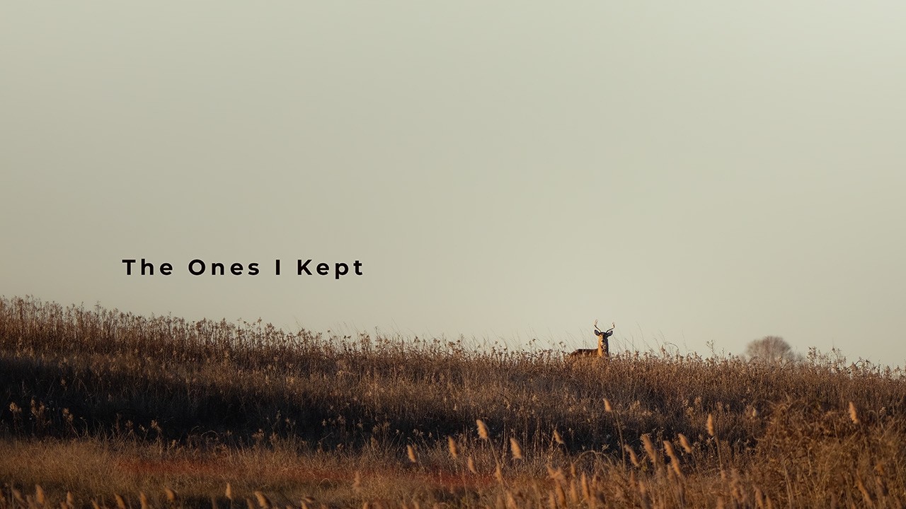 The Ones I Kept - Reflections from Fall