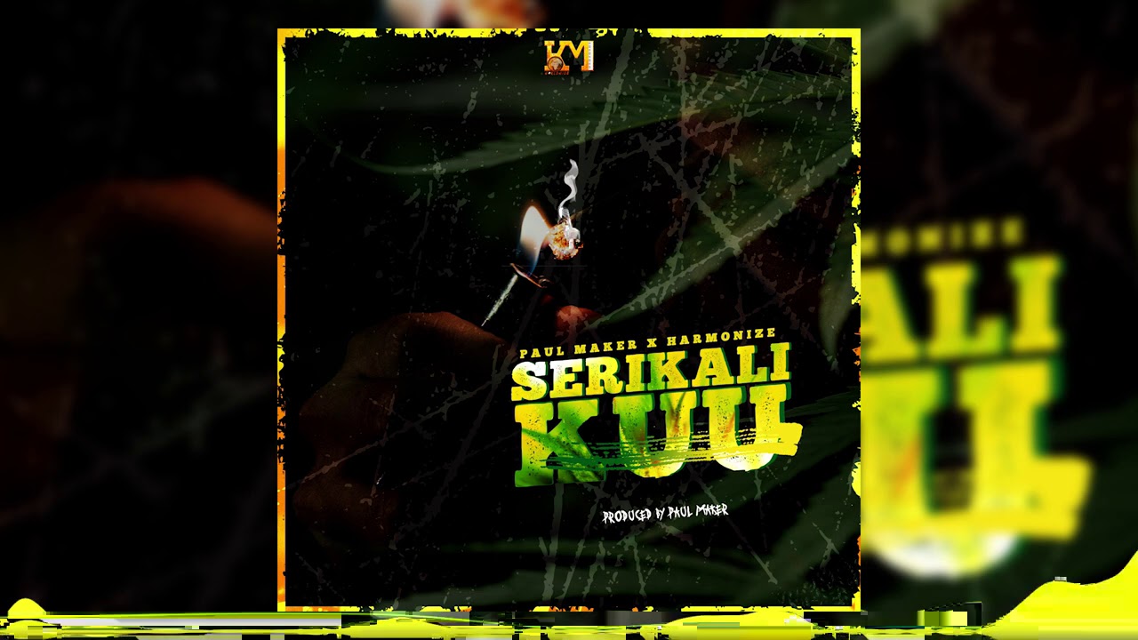 Paul Maker x Harmonize - Serikali Kuu (Official Audio)