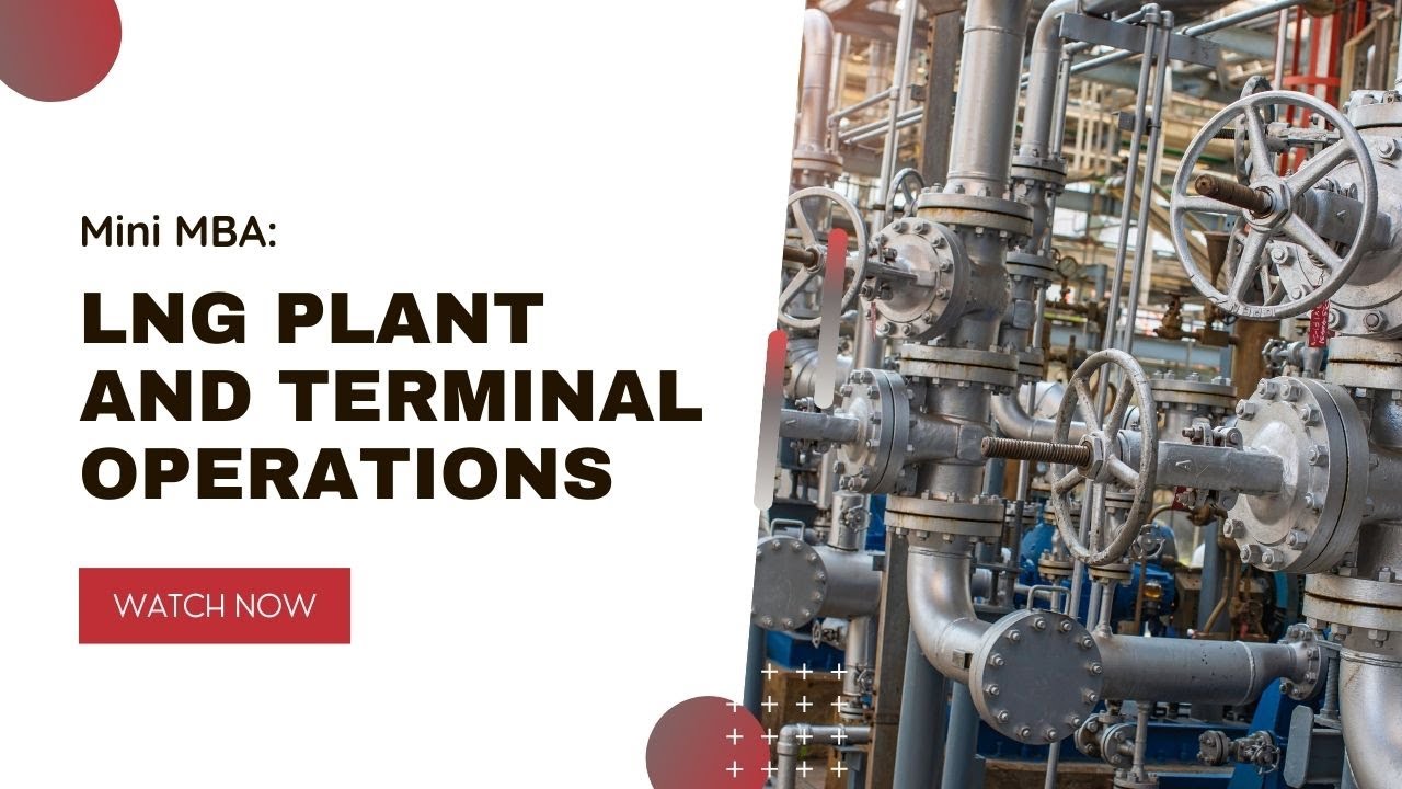 Mini MBA: LNG Plant and Terminal Operations