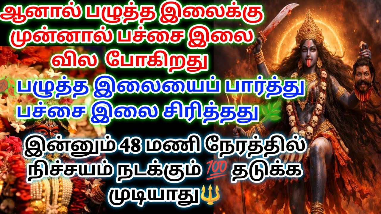 பழுத்த இலைக்கு முன்னால் பச்சை இலை வில போகிறது இதை கேள் 