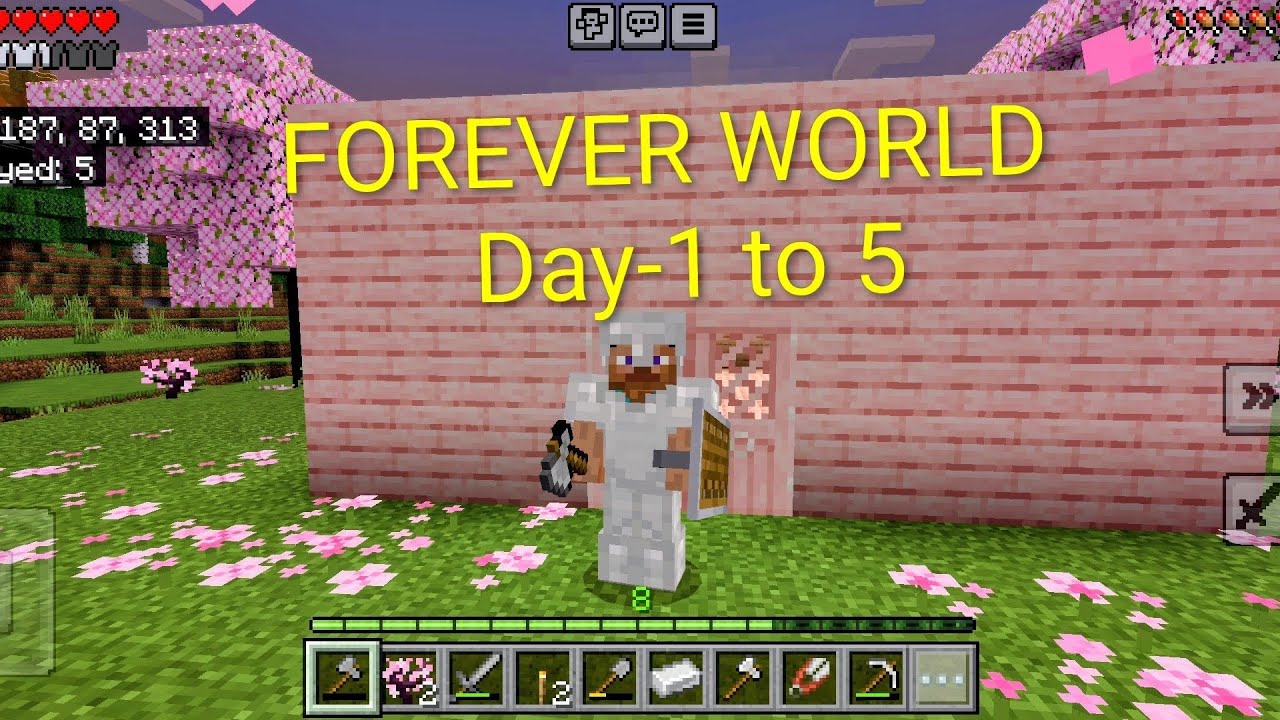 I made another forever World because previous world got deleted 