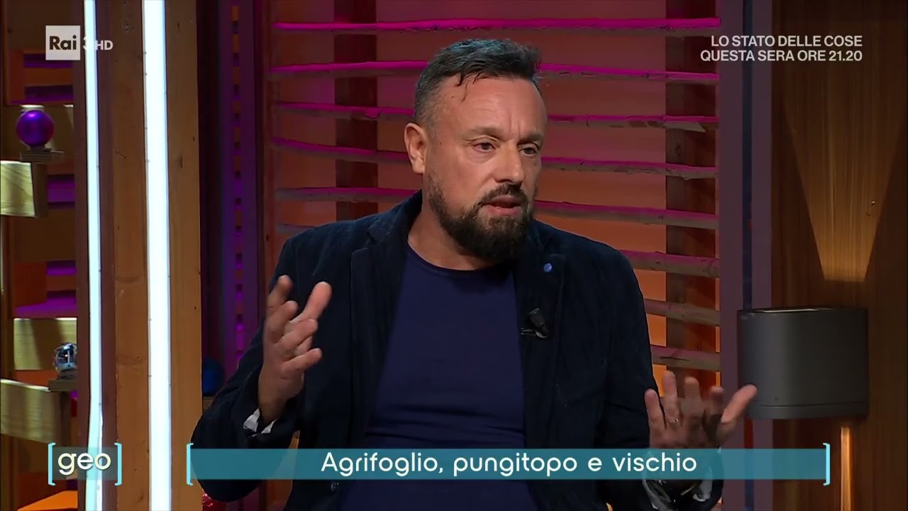 Agrifoglio, pupungitopo e vischio, GEO, Rai 3, 16 Dicembre 2024