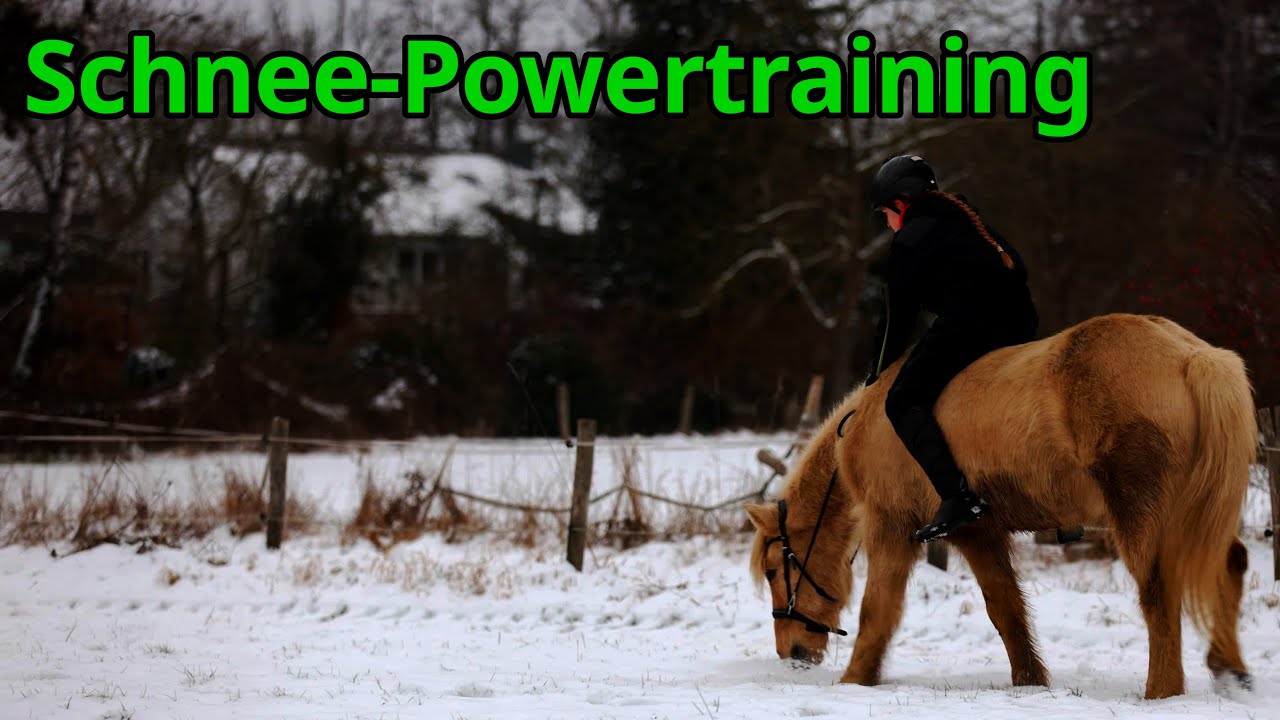 Reiten im Tiefschnee: Krasses Bootcamp für Juni!