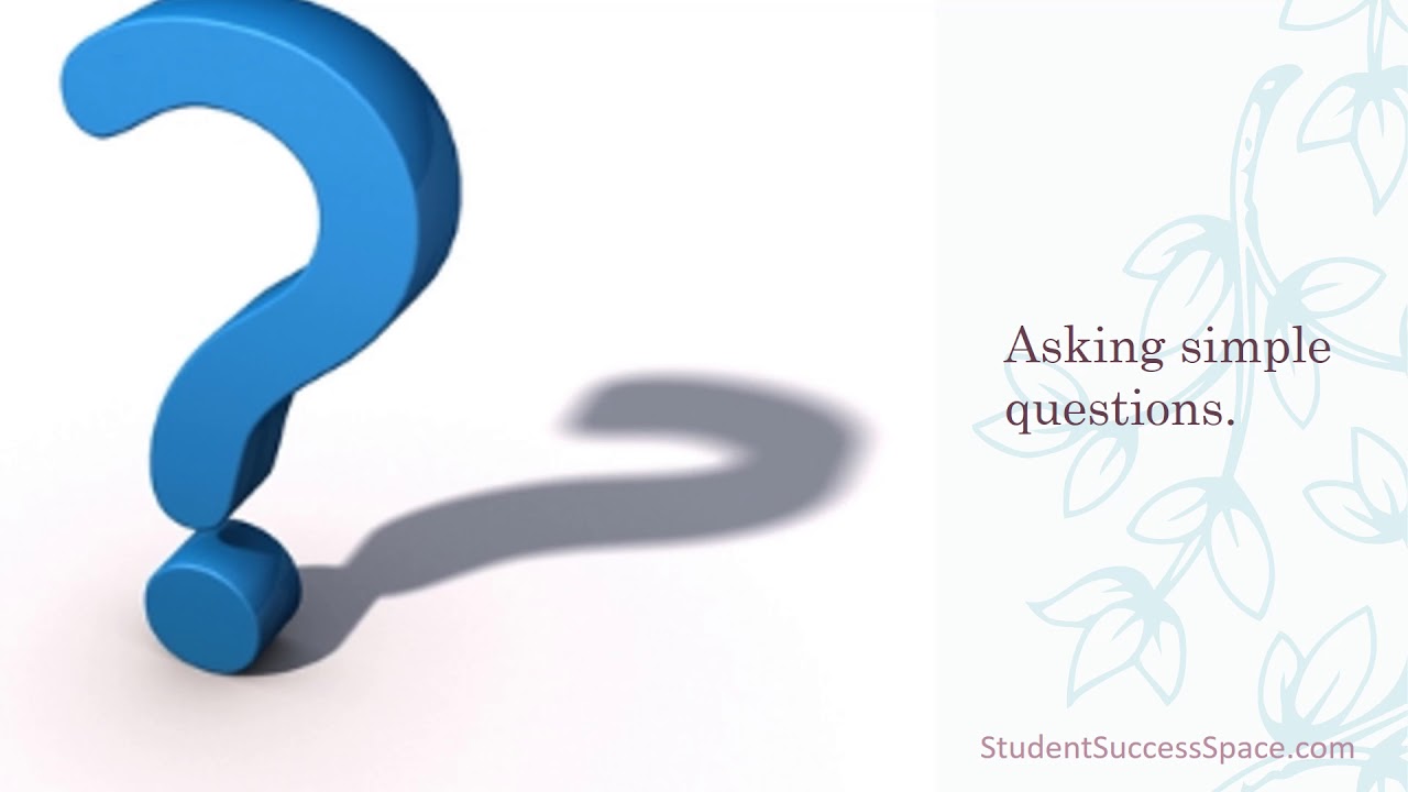 Using Questioning and Curiosity in Deep Learning