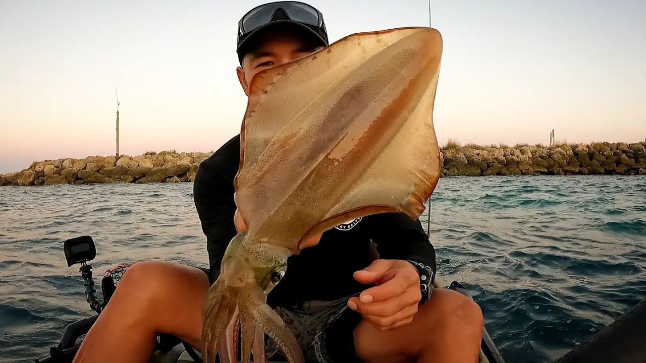 Fishing Hungry SQUID With Two Colour Jigs Woodmans Point Perth