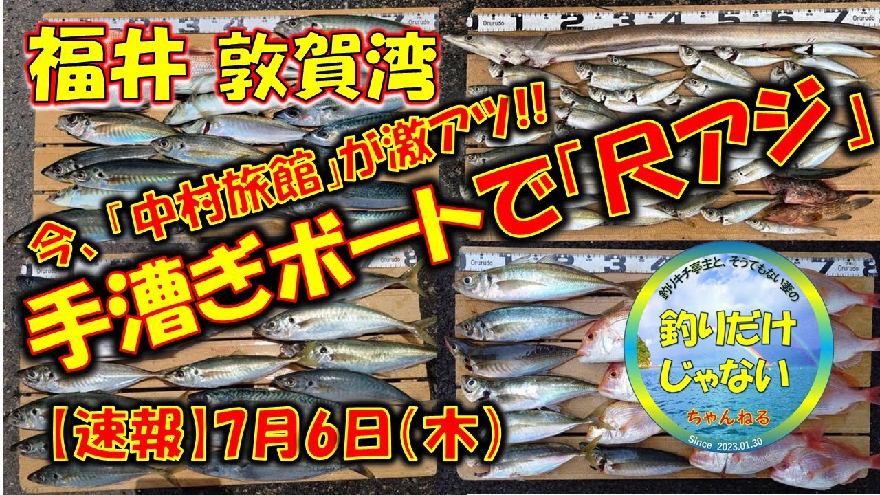 【2023年7月】福井、敦賀湾、ボート釣り。手漕ぎボートで尺アジ、今、中村旅館が激アツ。多種多様な魚種・サイズも満足。