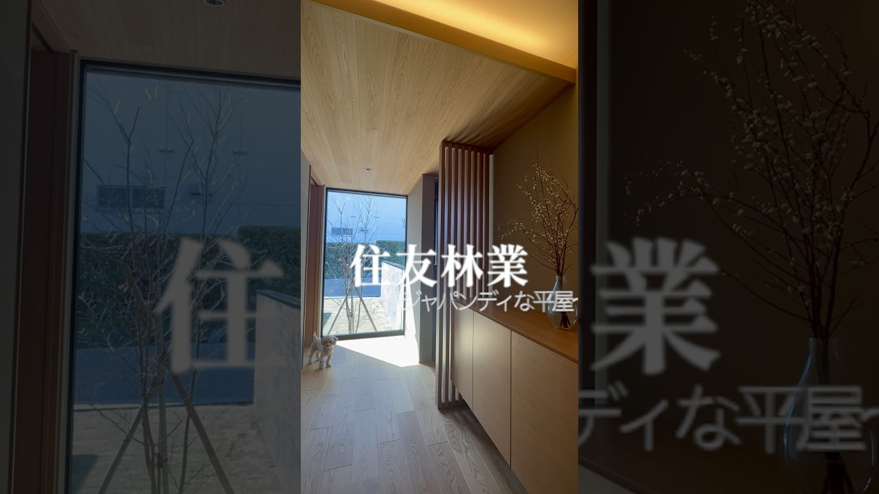 【ルームツアー】20代で建てる和モダンな平屋 