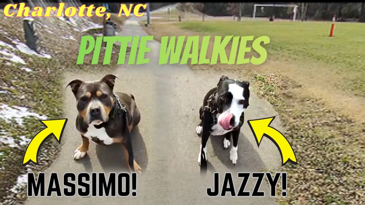 EPIC FITNESS and RELAXING with Dog Walking | Day 1