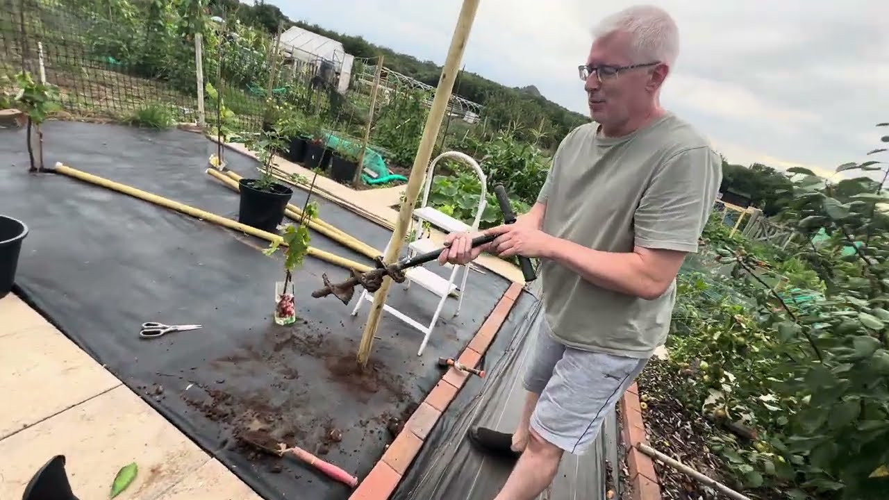 Setting Up My Grapevine Support Posts with an Auger (Episode 1)