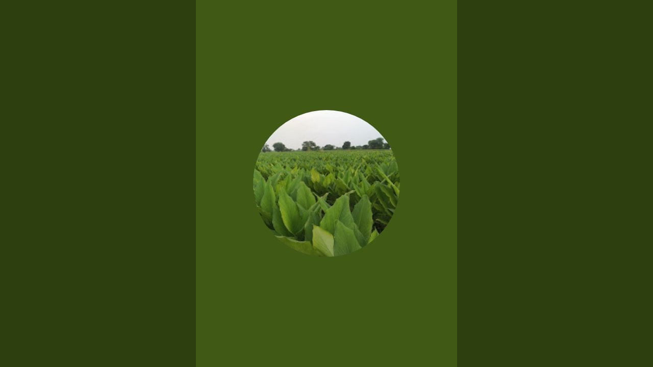 @Govind is live