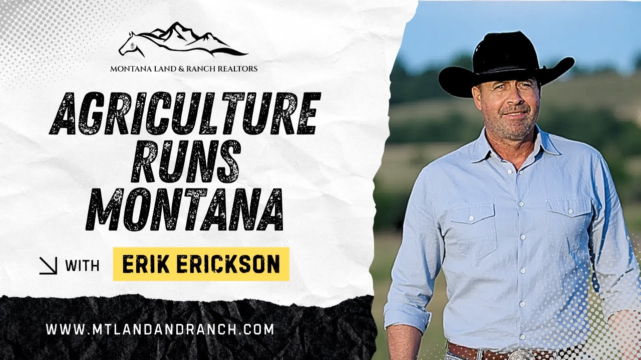 Can You Hunt Your Montana Ranch? What Buyers Must Know | Land Brokers Montana