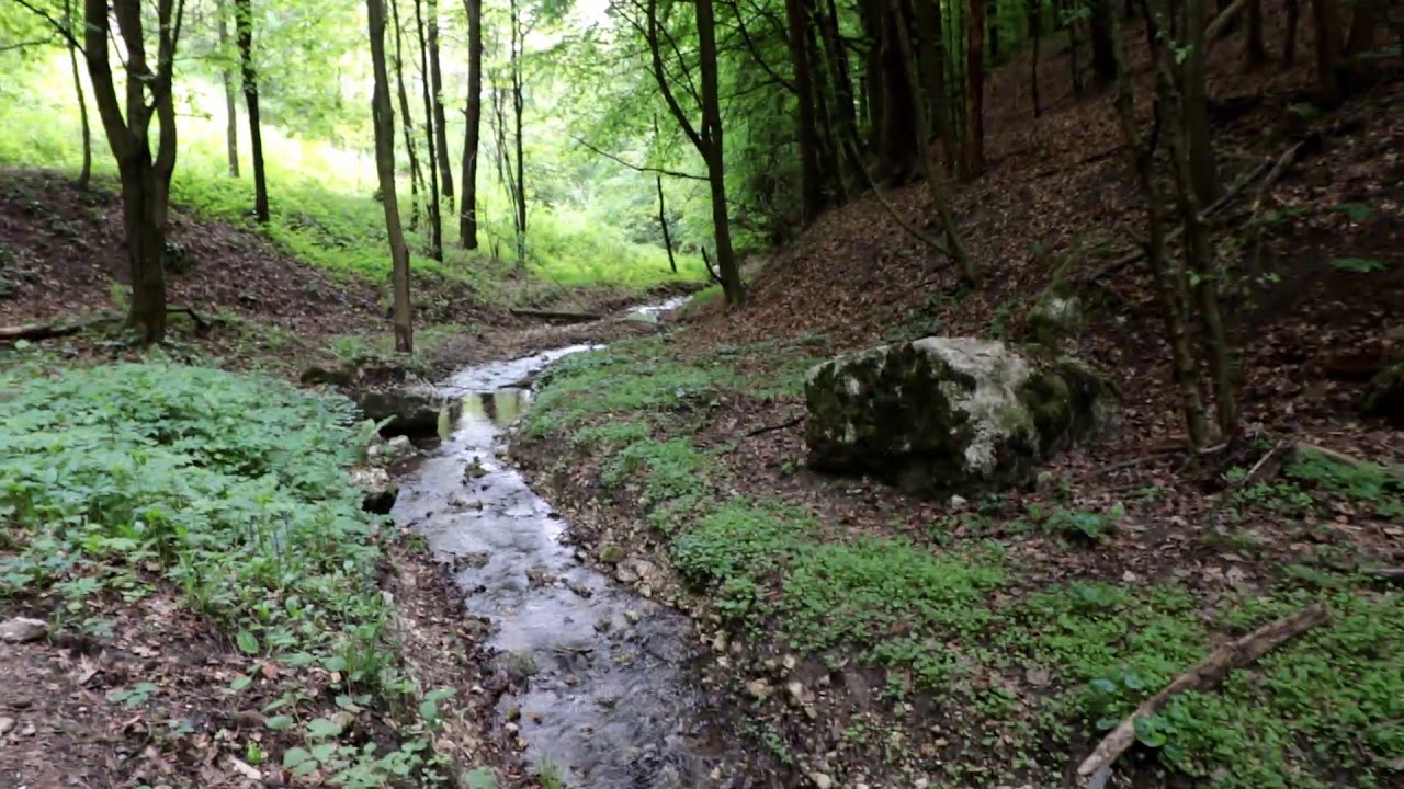 Dolina Bolechowicka maj 2020