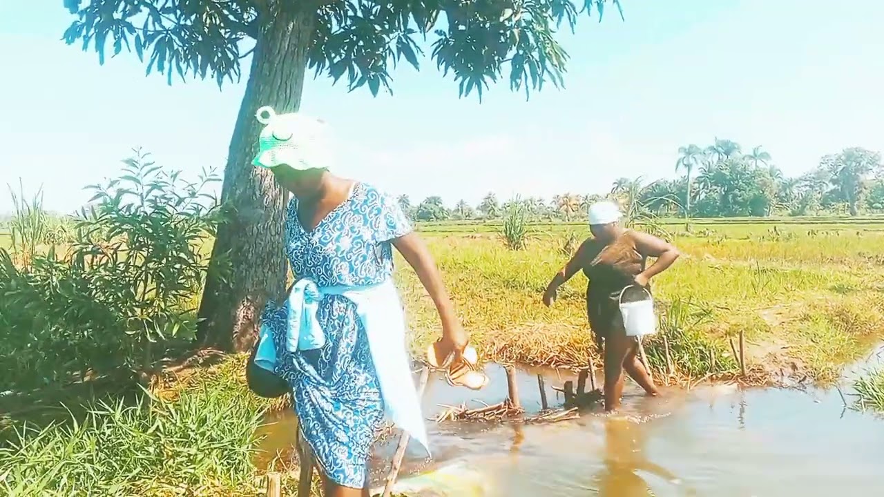 Mezanmi Chita pabay medam sayo met koyo deyô yap chache travay mesak rive katy