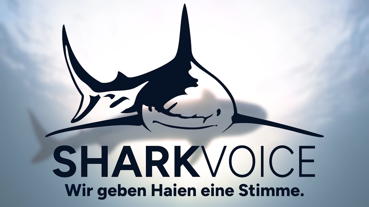 SHARKVOICE - Wir geben Haien eine Stimme 🦈