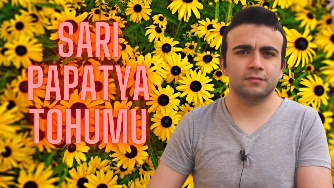 SARI PAPATYA (Tohum Nasıl Çimlendirilir?)
