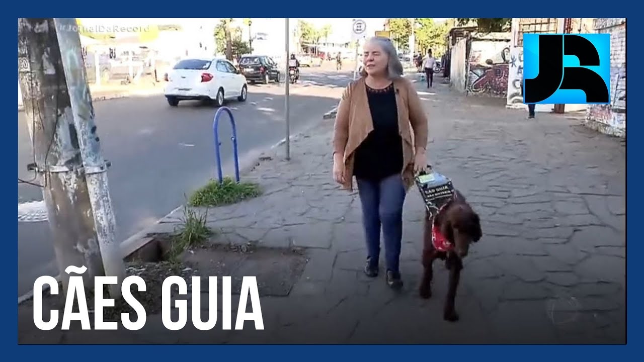 Extraordinários: acompanhe a relação única de amor entre deficientes visuais e cães guia