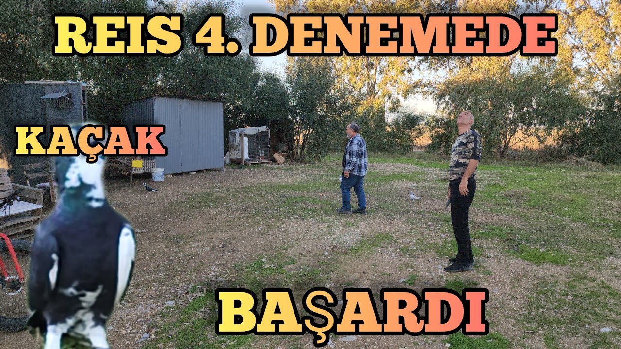 Sonunda Çok Değişik Bir Kaçak Güvercin İndirdik