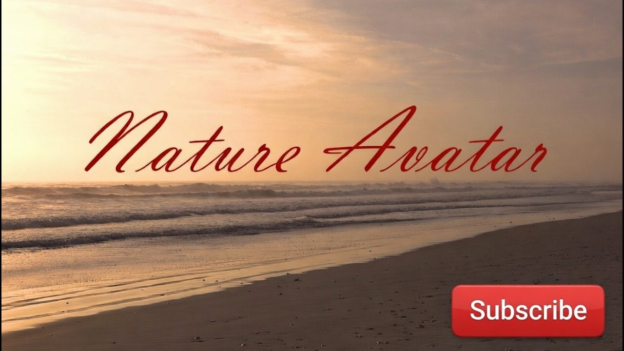 Enjoy this astounding misty sunrise - 8 HRS - You won't want to leave - 4K